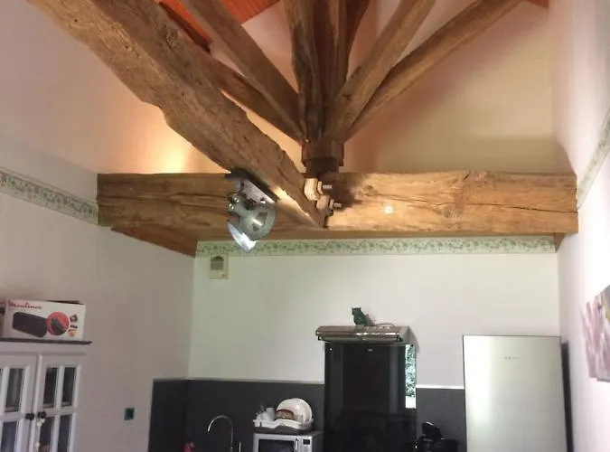 Bed and breakfast La Grenouille 3*